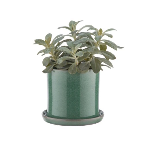 PLANT PLACE Blumentopf Mit Teller Ø16cm -Tischdeko Verkauf 10224372 1