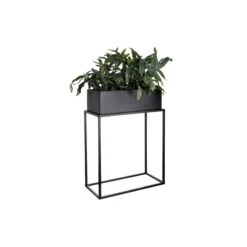 PLANTA Pflanzkasten Mit Gestell B 45 X T 21cm -Tischdeko Verkauf 10226170 2