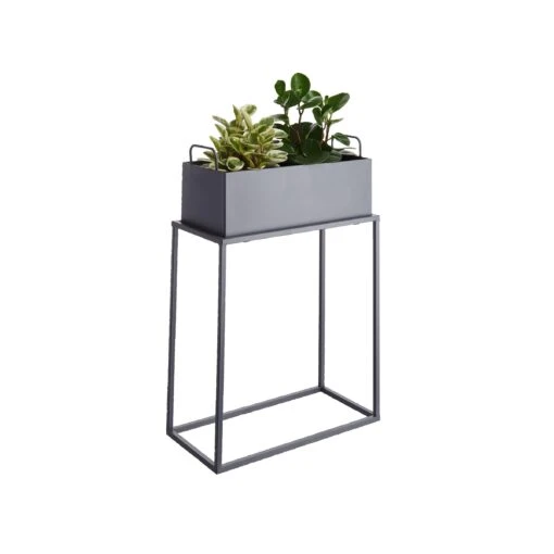 PLANTA Pflanzkasten Mit Gestell B 45 X T 21cm -Tischdeko Verkauf 10226173 2