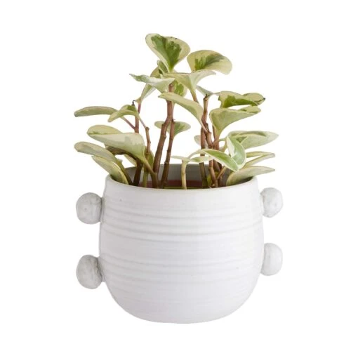 Blumentopf B 23 X T 15cm HANDLE In Creme -Tischdeko Verkauf butlers blumentopf b 23 x t 15cm handle in creme 1