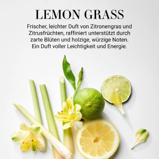 Duftöl Lemon Grass 10ml ESSENCE In Grün -Tischdeko Verkauf butlers duftol lemon grass 10ml essence in grun 1