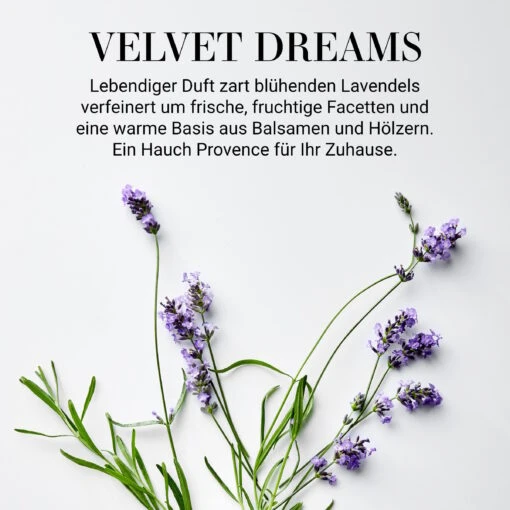 Raumduft No 3 "Velvet Dreams" 110ml HOME & SOUL In Transparent -Tischdeko Verkauf butlers raumduft no 3 velvet dreams 110ml home and soul in transparent 1